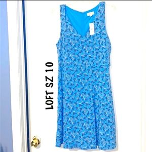 Gorgeous LOFT dress - NWT